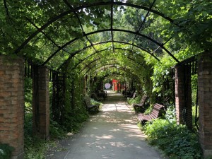 Аптекарский огород на Проспекте Мира