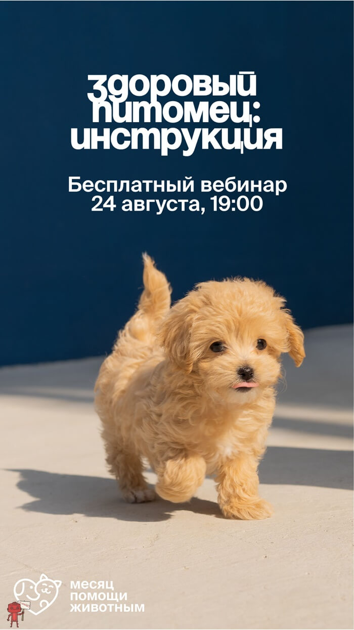 Вебинар "Здоровый питомец: инструкция"